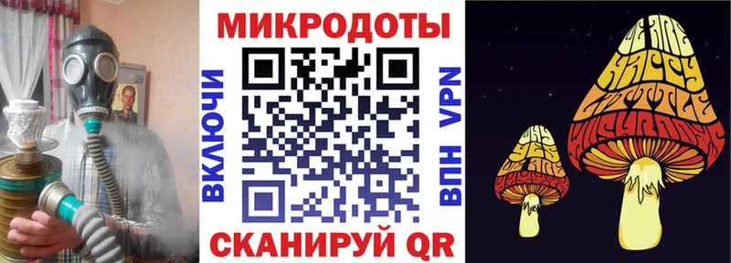 закладки  Ленск  Псилоцибиновые грибы мицелий 